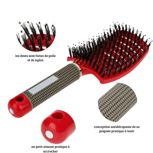 Brosse démélante